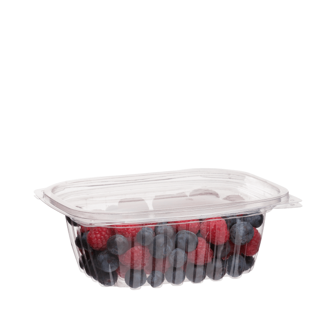 12oz RECTANGULAR PLA DELI CONTAINER WITH LID 100PK NIS Packaging & Party Supply