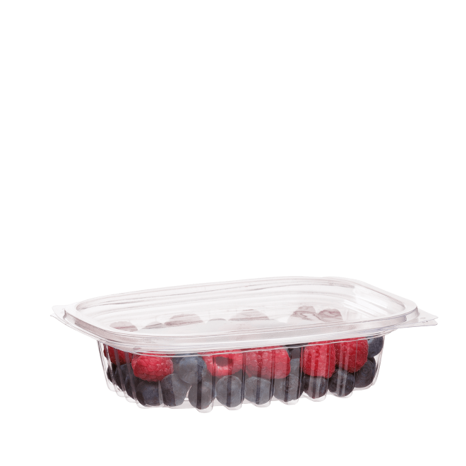 8oz RECTANGULAR PLA DELI CONTAINER WITH LID 100PK NIS Packaging & Party Supply