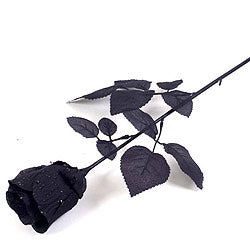 Black Fabric Rose NIS Packaging & Party Supply