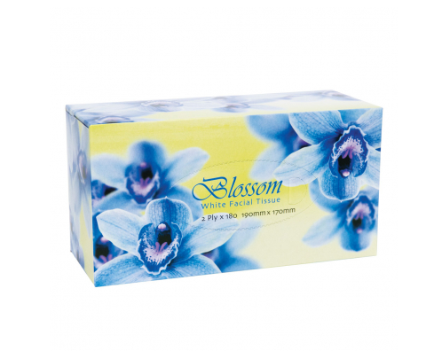 FACIAL TISSUE 2Ply 180 Sheets 1 BOX NIS Packaging & Party Supply