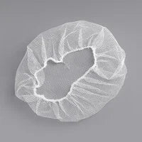 Hair Net 100pk NIS Traders