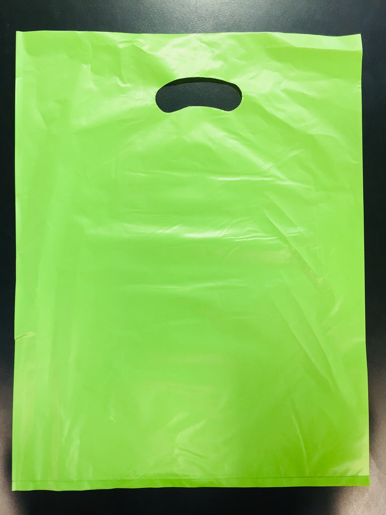 Medium Colored Gift Bags 100pcs NIS Traders