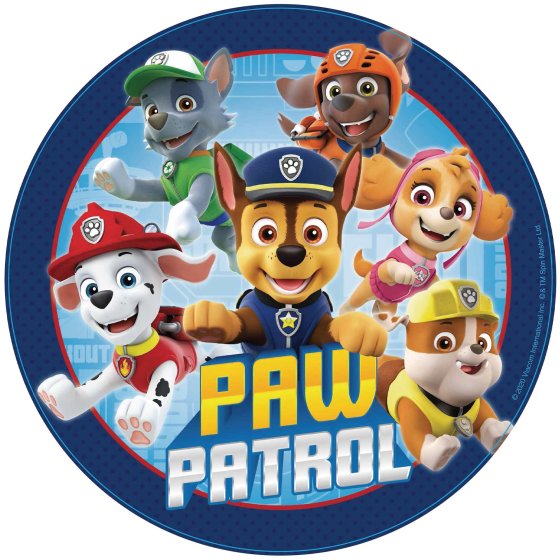 Paw Patrol  Drum Pinata NIS Traders