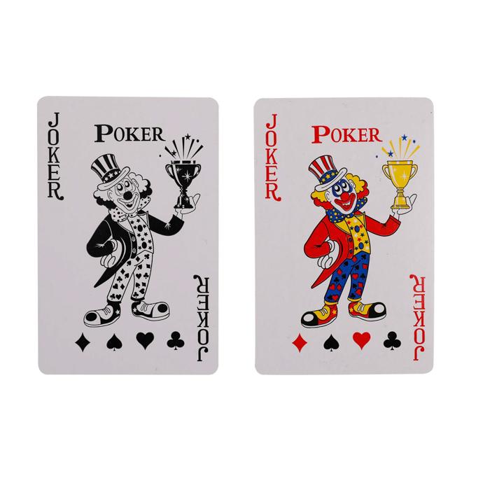 Playings Cards Pack of 2 NIS Traders